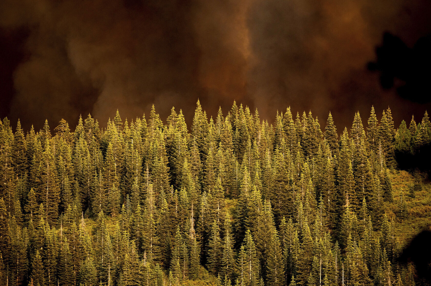 California Wildfires